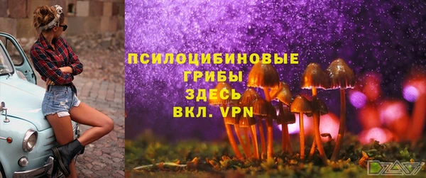 молекула духа Абинск