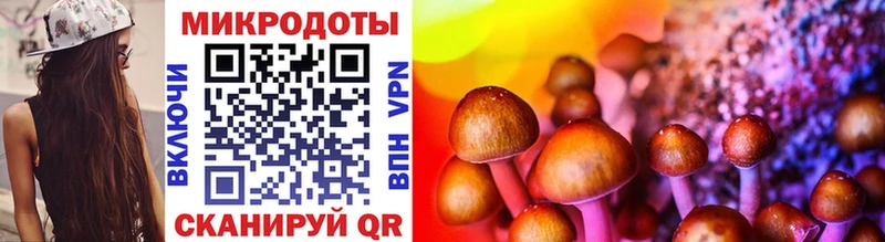 Галлюциногенные грибы Cubensis  купить наркотик  Янаул 